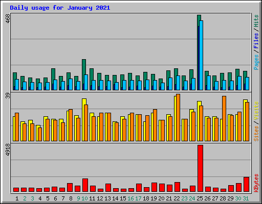 Daily usage for January 2021