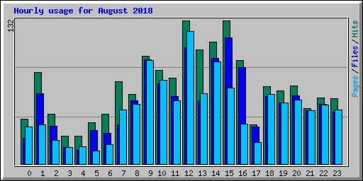 Hourly usage for August 2018