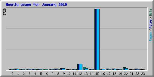 Hourly usage for January 2019