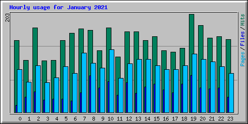 Hourly usage for January 2021