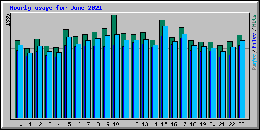 Hourly usage for June 2021