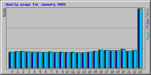 Hourly usage for January 2025