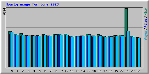 Hourly usage for June 2026
